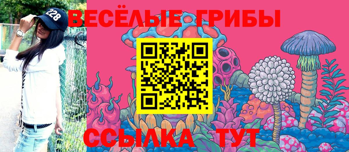 Псилоцибиновые грибы прущие грибы  Вход с VPN  Сергиев Посад  Псилоцибиновые грибы MAGIC MUSHROOMS 